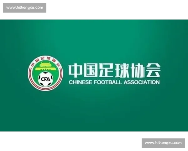 2025 中超第 19 轮观众人数创赛季新高 场均 3.1 万 + 热度直逼五大联赛